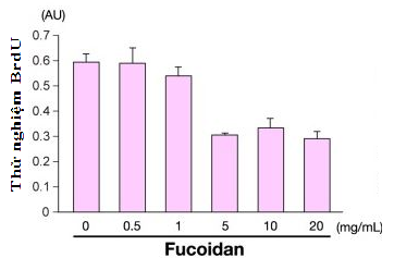 Hiệu quả khi dùng Fucoidan hỗ trợ điều trị ung thư dạ dày