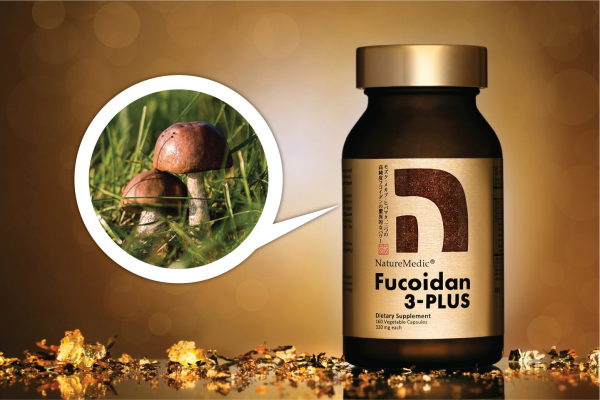 Fucoidan AHCC có thêm tinh chất AHCC từ nấm