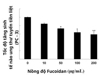 Tác dụng của Fucoidan trên bệnh nhân ung thư tuyến tiền liệt