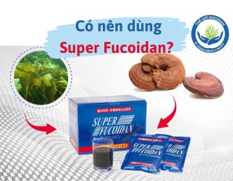 Có nên dùng Super Fucoidan
