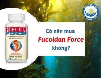 Có nên mua Fucoidan Force không?