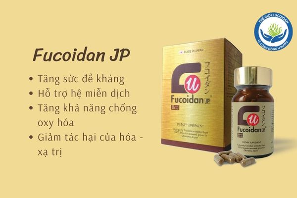 Fucoidan JP chứa U fucoidan có tốt không?