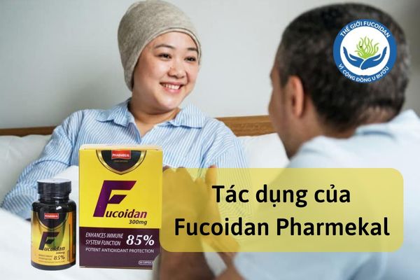 Tác dụng của Fucoidan Pharmekal