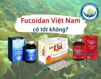 Fucoidan Việt Nam có tốt không