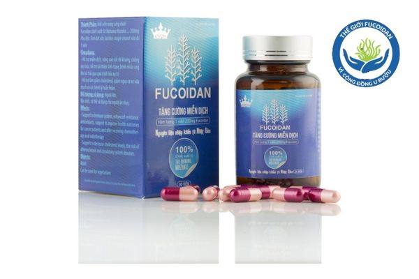 Fucoidan kingphar với nguyên liệu nhập khẩu trực tiếp từ Nhật Bản