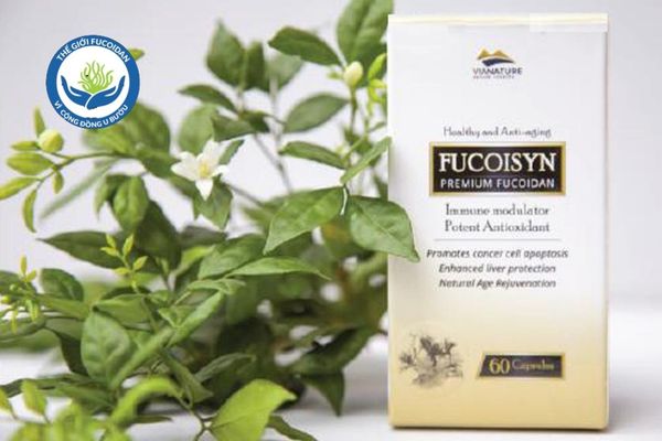Viên uống Fucoisyn premium fucoidan của Úc