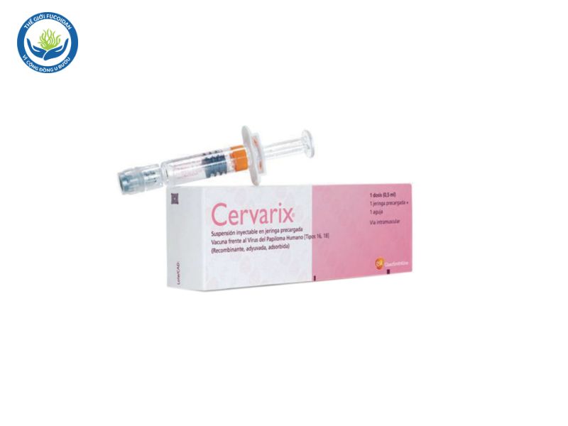Vắc xin Cervarix