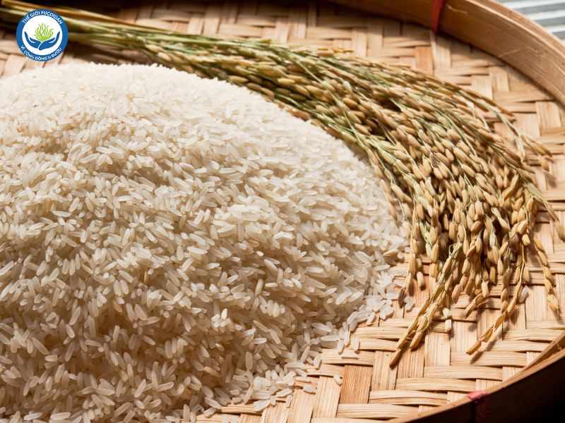 Các thực phẩm chứa tinh bột gồm các loại ngũ cốc nguyên hạt như gạo, lúa mạch, lúa mì và cả các loại khoai tây.