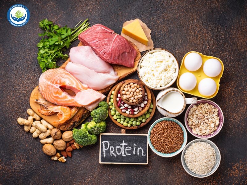 Protein là yếu tố quan trọng giúp cung cấp năng lượng cho cơ thể