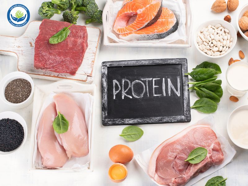 Các nguồn giàu protein bao gồm sữa ít béo, trứng và các loại thịt