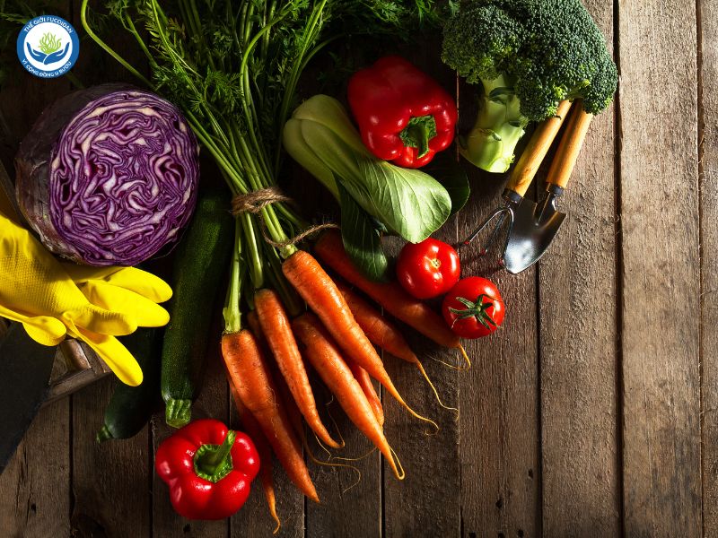 Chế độ dinh dưỡng cho người ung thư nên ăn nhiều các loại rau củ