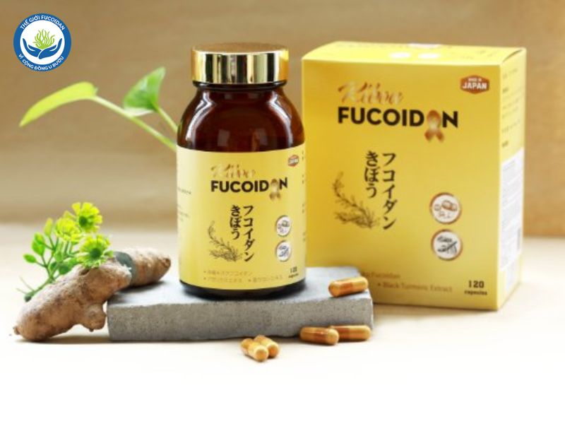 Kibou Fucoidan 3 thành phần - Fucoidan vàng của Nhật