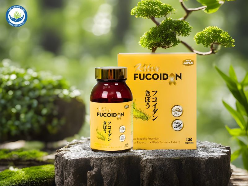 Fucoidan vàng Nhật Bản là gì