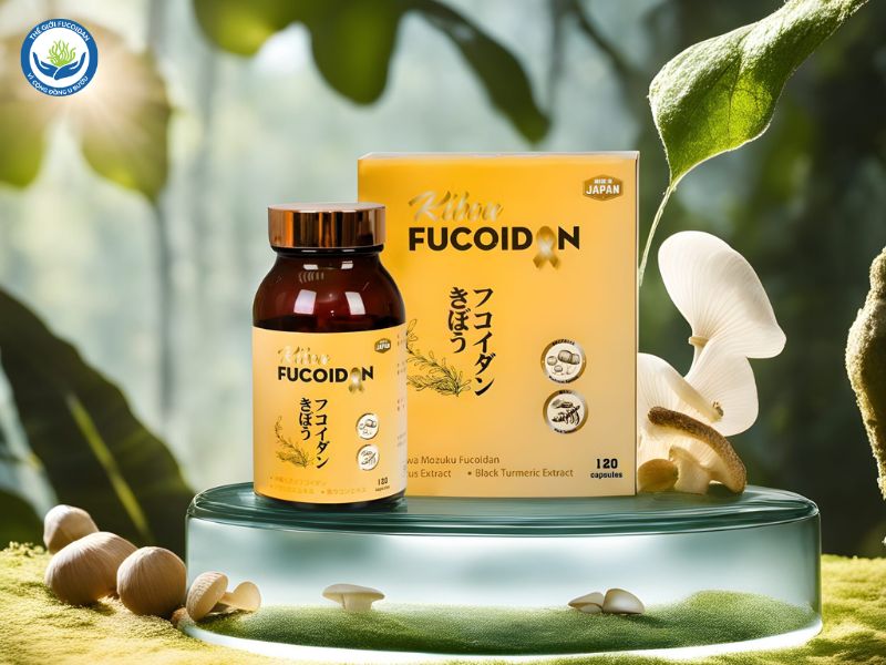 Kibou Fucoidan - Fucoidan vàng 3 thành phần