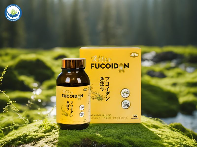 Fucoidan vàng 3 thành phần - Kibou Fucoidan