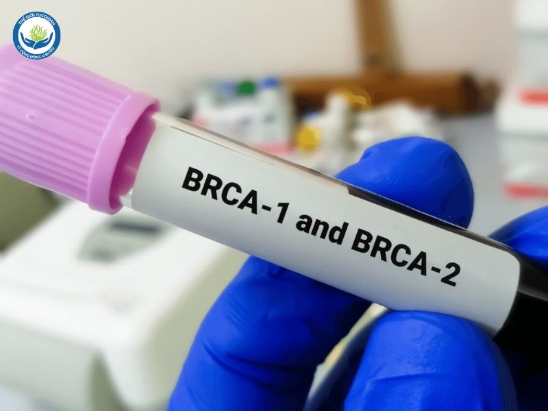 Đột biến gen BRCA1 và BRCA2