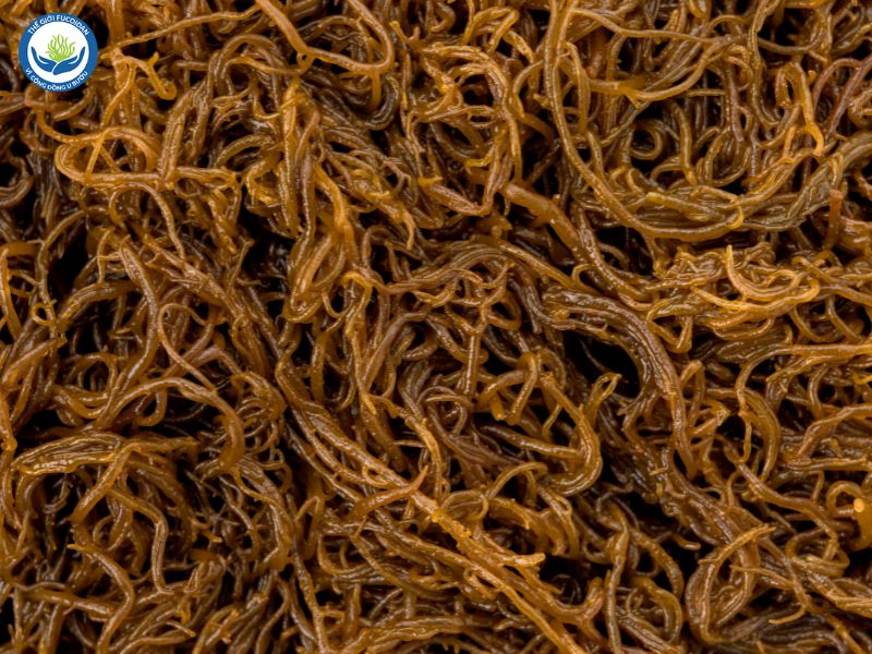 Fucoidan được tìm thấy trong rong tảo nâu, nhiều nhất là tảo Mozuku tại quần đảo Okinawa - Nhật Bản