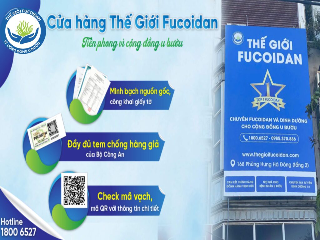 Cửa hàng Thế Giới Fucoidan có địa chỉ tại Tầng 2, số 168, Phùng Hưng, Hà Đông, Hà Nội