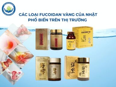 các loại fucoidan vàng phổ biến hiện nay