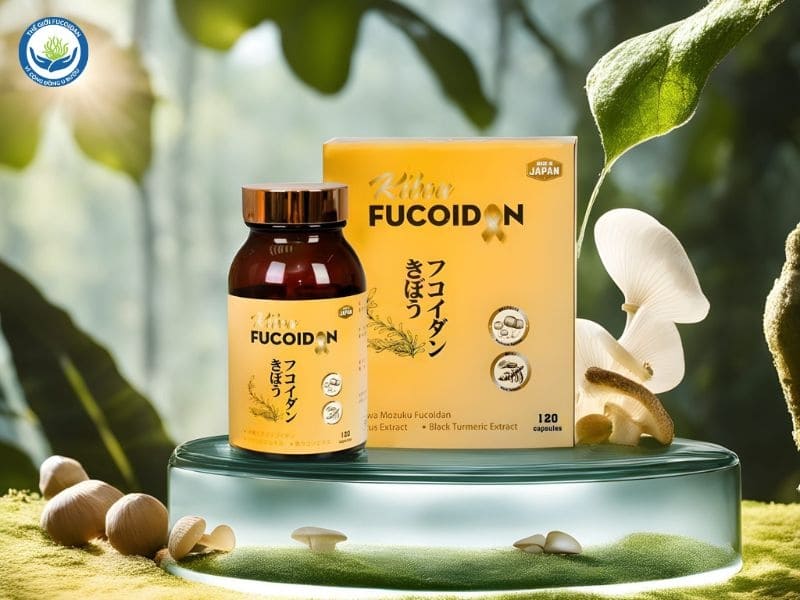 Kibou Fucoidan - Điểm tựa vừng chắc cho bệnh nhân K đang hoá xạ