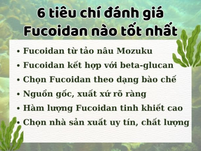 Tiêu chí chọn mua Fucoidan chất lượng uy tín