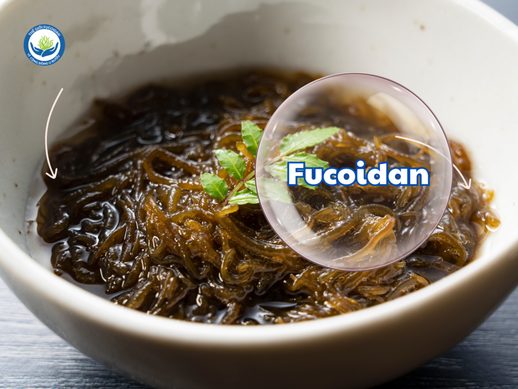 Fucoidan là một polysaccharide sulfat hóa có trong thành tế bào của các loài tảo nâu như Mozuku, Mekabu, Kombu