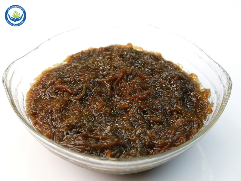 Fucoidan chiết xuất từ tảo nâu Mozuku
