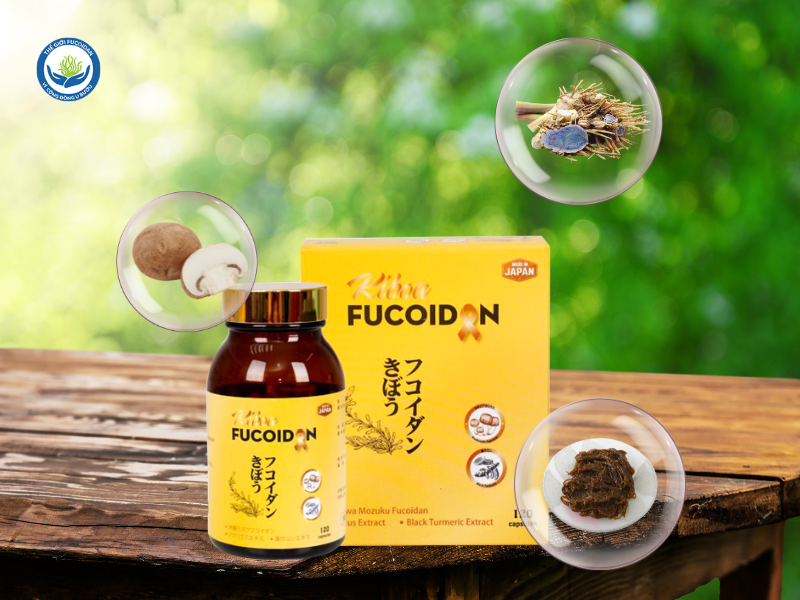 Kibou Fucoidan là sản phẩm hỗ trợ với công thức 3 thành phần gồm Fucoidan Mozuku – Agaricus – Nghệ đen Okinawa