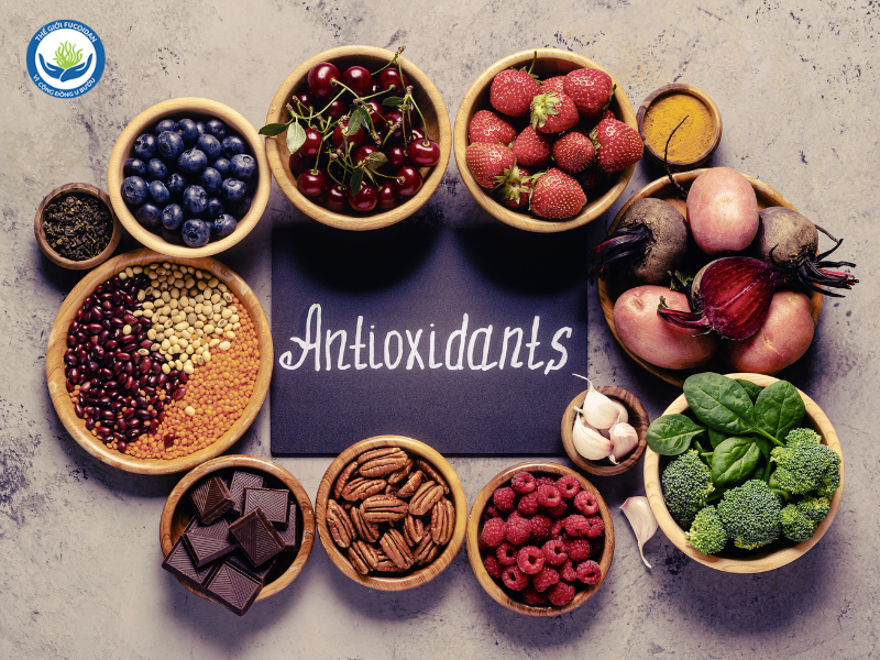 Các chất chống oxy hóa (antioxidants) có khả năng trung hòa gốc tự do