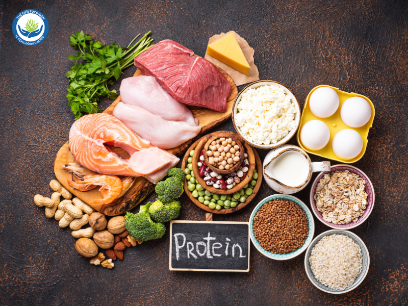 Bổ sung thêm nguồn đạm động vật