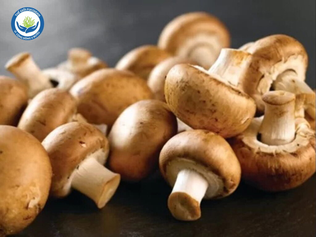 Nấm Agaricus chứa Beta-Glucan