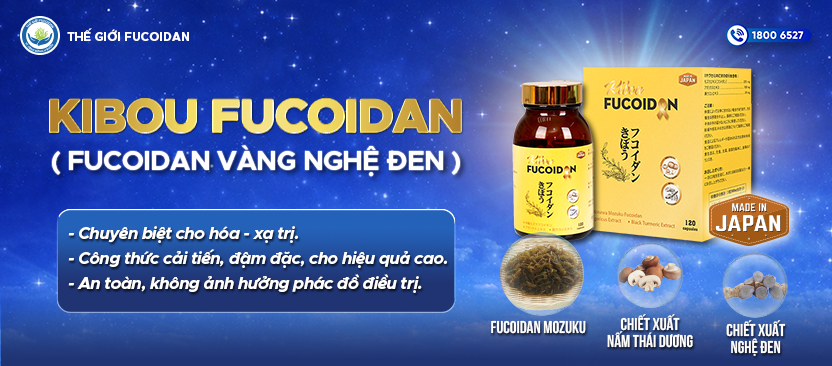 web kibou ngày 26_3