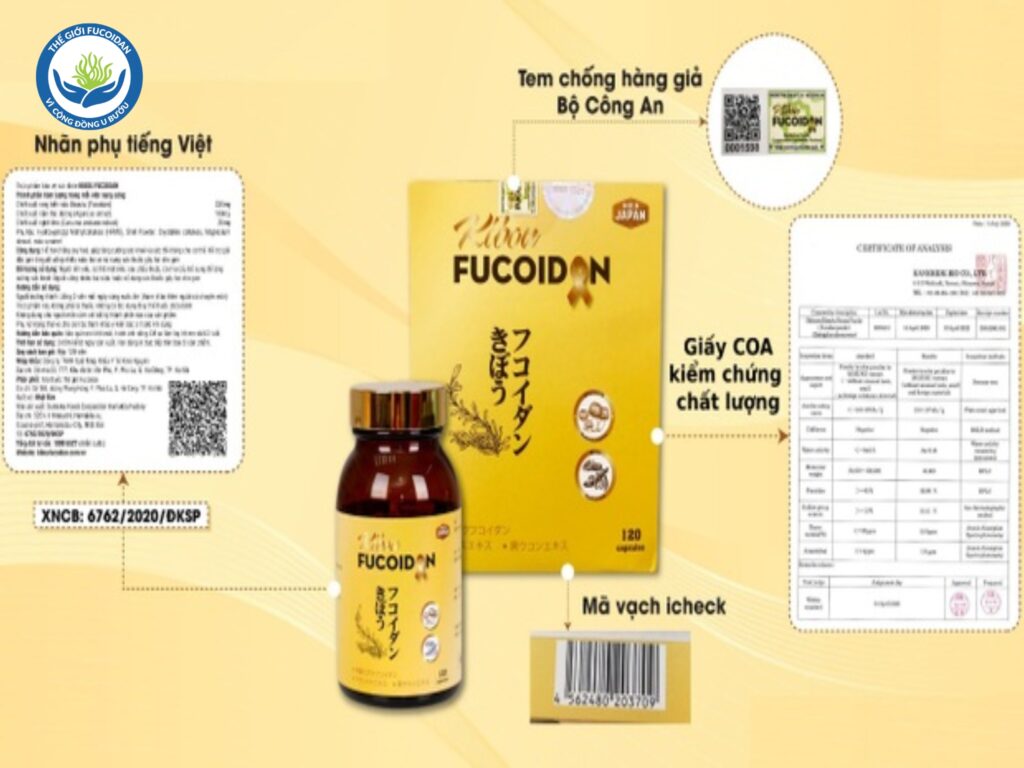 Kibou Fucoidan an toàn, yên tâm dùng chung với phác đồ điều trị